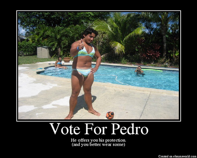 VoteForPedro.png